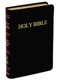 Catholic Companion Edition Bible - Large Print  